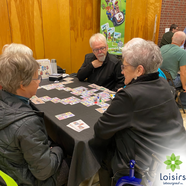 Lebosalon Ludique Loisirs Lebourgneuf Ville de Québec (18)