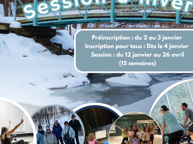 https://loisirslebourgneuf.net/wp-content/uploads/2025/11/session-hiver-2025-1-640x480.png